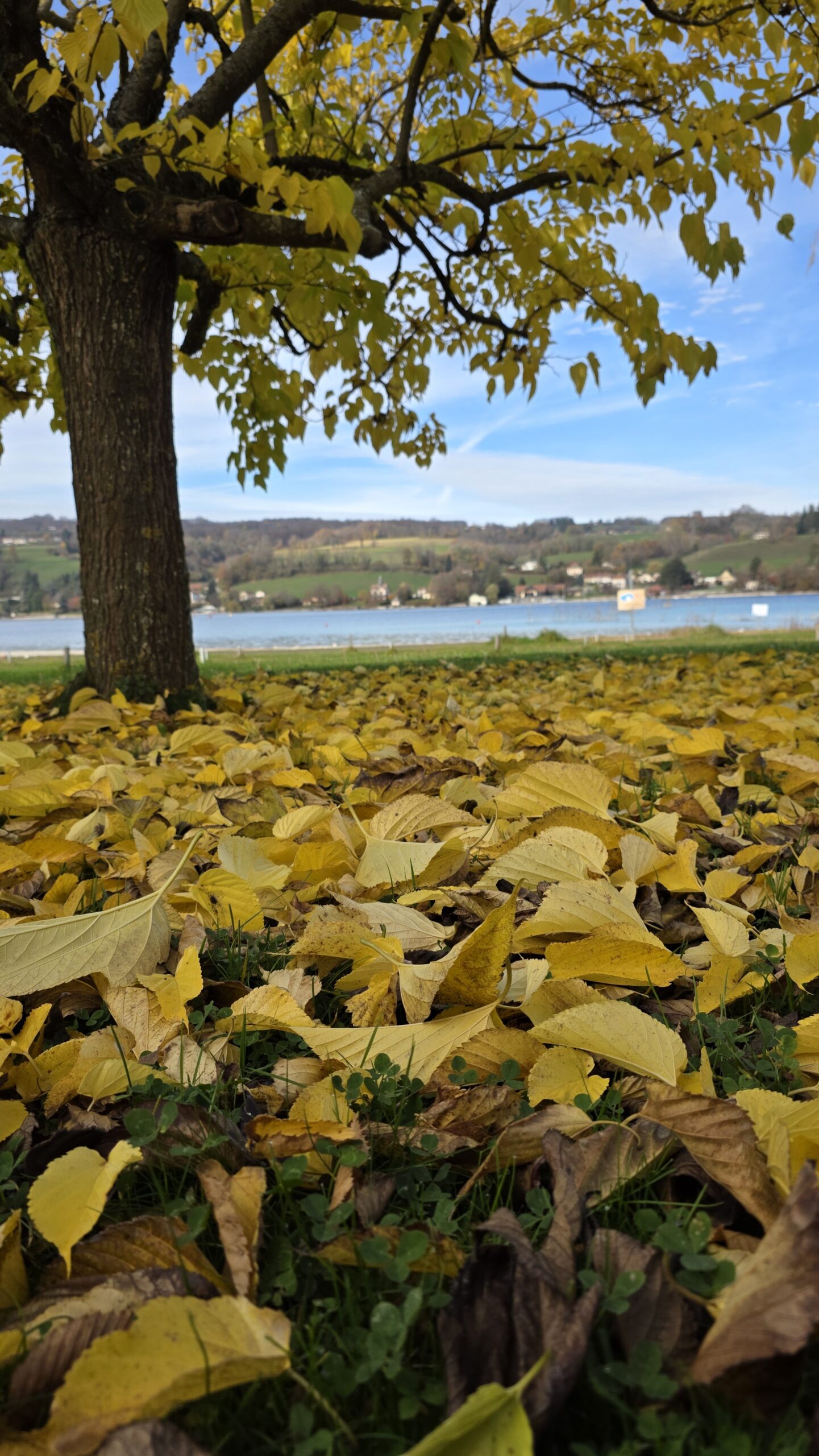 Senior holidays at Lake Paladru 1 Lac de Paladru beach in autumn — peaceful setting for senior holidays at Détente et Clapotis campsite, Isère