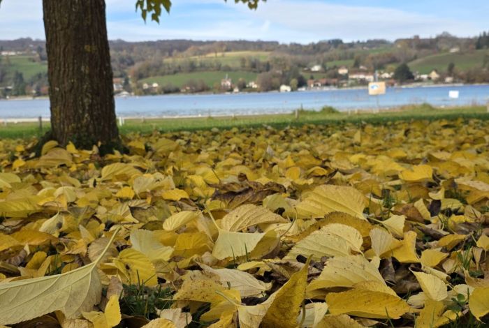 Lac de Paladru beach — ideal team building playground, Isère