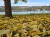 Senior holidays at Lake Paladru 7 Lac de Paladru beach in autumn — peaceful setting for senior holidays at Détente et Clapotis campsite, Isère